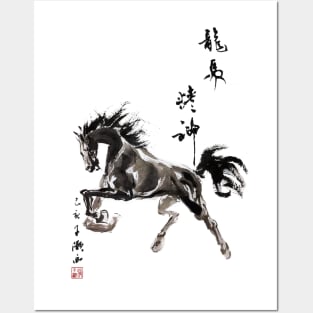 Horse Gallop Posters and Art